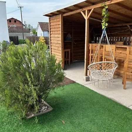 Big House With Swimming Pool סקופיה